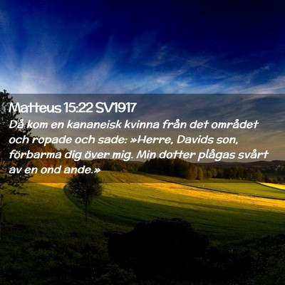Picture 02 - Matteus 15:22 SV1917 - Då kom en kananeisk kvinna från det området - Bible Verse Picture