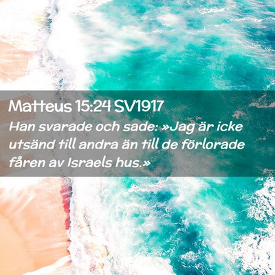 Picture 02 - Matteus 15:24 SV1917 - Han svarade och sade: »Jag är icke utsänd till - Bible Verse Picture