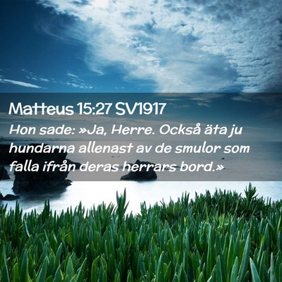 Picture 02 - Matteus 15:27 SV1917 - Hon sade: »Ja, Herre. Också äta ju hundarna - Bible Verse Picture