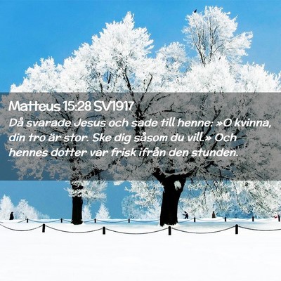 Picture 02 - Matteus 15:28 SV1917 - Då svarade Jesus och sade till henne: »O - Bible Verse Picture