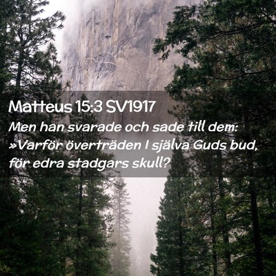 Picture 02 - Matteus 15:3 SV1917 - Men han svarade och sade till dem: »Varför - Bible Verse Picture