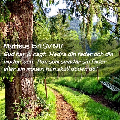 Picture 02 - Matteus 15:4 SV1917 - Gud har ju sagt: 'Hedra din fader och din moder' - Bible Verse Picture