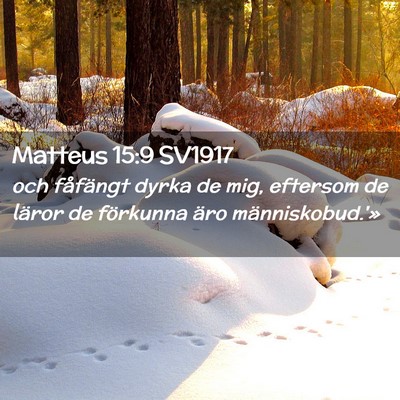 Picture 02 - Matteus 15:9 SV1917 - och fåfängt dyrka de mig, eftersom de läror de - Bible Verse Picture