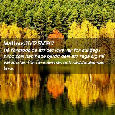 Picture 02 - Matteus 16:12 SV1917 - Då förstodo de att det icke var för surdeg i - Bible Verse Picture