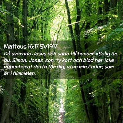 Picture 02 - Matteus 16:17 SV1917 - Då svarade Jesus och sade till honom: »Salig - Bible Verse Picture