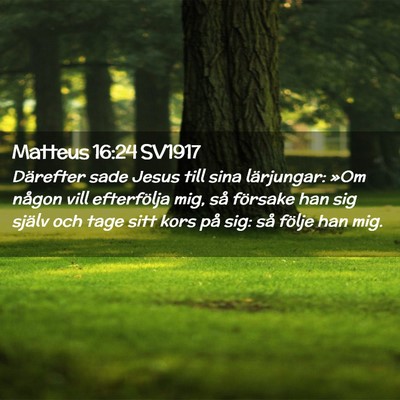 Picture 02 - Matteus 16:24 SV1917 - Därefter sade Jesus till sina lärjungar: »Om - Bible Verse Picture