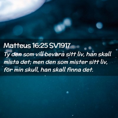 Picture 02 - Matteus 16:25 SV1917 - Ty den som vill bevara sitt liv, han skall mista - Bible Verse Picture