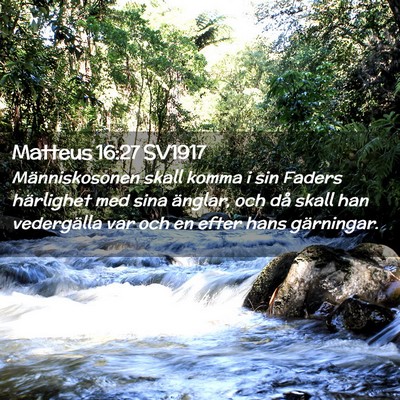 Picture 02 - Matteus 16:27 SV1917 - Människosonen skall komma i sin Faders - Bible Verse Picture