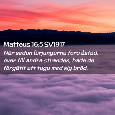 Picture 02 - Matteus 16:5 SV1917 - När sedan lärjungarna foro åstad, över till - Bible Verse Picture