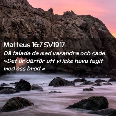 Picture 02 - Matteus 16:7 SV1917 - Då talade de med varandra och sade: »Det är - Bible Verse Picture