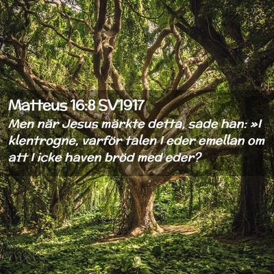 Picture 02 - Matteus 16:8 SV1917 - Men när Jesus märkte detta, sade han: »I - Bible Verse Picture
