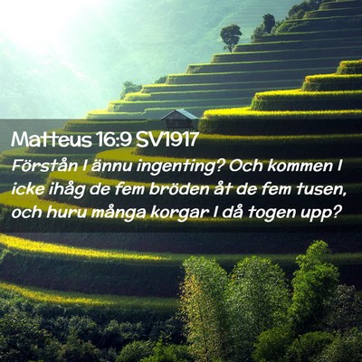 Picture 02 - Matteus 16:9 SV1917 - Förstån I ännu ingenting? Och kommen I icke - Bible Verse Picture