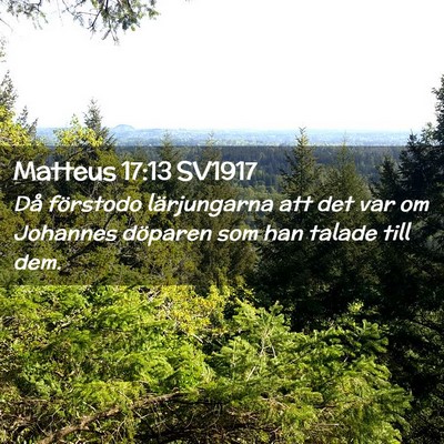 Picture 02 - Matteus 17:13 SV1917 - Då förstodo lärjungarna att det var om - Bible Verse Picture