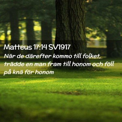 Picture 02 - Matteus 17:14 SV1917 - När de därefter kommo till folket, trädde en - Bible Verse Picture