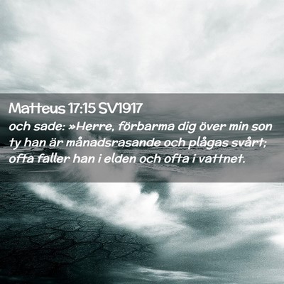 Picture 02 - Matteus 17:15 SV1917 - och sade: »Herre, förbarma dig över min son ty - Bible Verse Picture