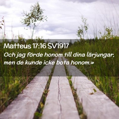 Picture 02 - Matteus 17:16 SV1917 - Och jag förde honom till dina lärjungar, men de - Bible Verse Picture