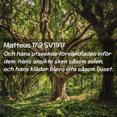 Picture 02 - Matteus 17:2 SV1917 - Och hans utseende förvandlades inför dem: hans - Bible Verse Picture