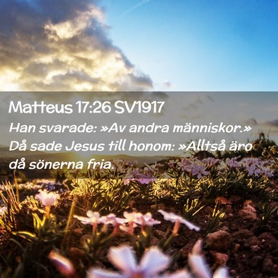 Picture 02 - Matteus 17:26 SV1917 - Han svarade: »Av andra människor.» Då sade - Bible Verse Picture