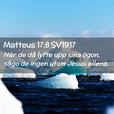 Picture 02 - Matteus 17:8 SV1917 - När de då lyfte upp sina ögon, sågo de ingen - Bible Verse Picture