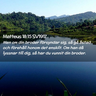 Picture 02 - Matteus 18:15 SV1917 - Men om din broder försyndar sig, så gå åstad - Bible Verse Picture