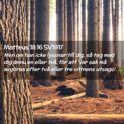 Picture 02 - Matteus 18:16 SV1917 - Men om han icke lyssnar till dig, så tag med dig - Bible Verse Picture
