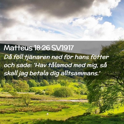 Picture 02 - Matteus 18:26 SV1917 - Då föll tjänaren ned för hans fötter och - Bible Verse Picture