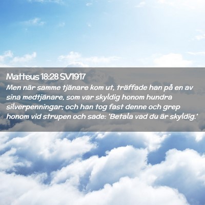 Picture 02 - Matteus 18:28 SV1917 - Men när samme tjänare kom ut, träffade han på - Bible Verse Picture