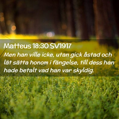 Picture 02 - Matteus 18:30 SV1917 - Men han ville icke, utan gick åstad och lät - Bible Verse Picture