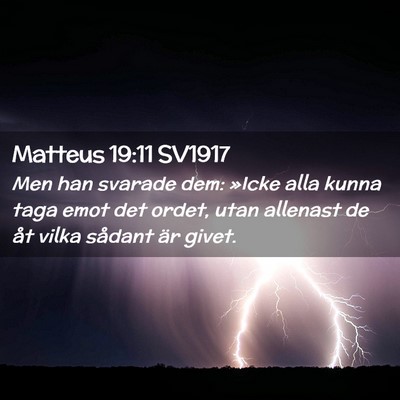 Picture 02 - Matteus 19:11 SV1917 - Men han svarade dem: »Icke alla kunna taga emot - Bible Verse Picture
