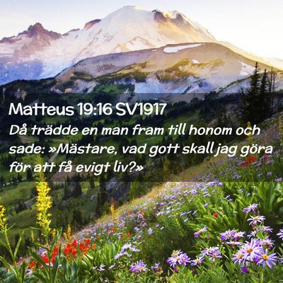 Picture 02 - Matteus 19:16 SV1917 - Då trädde en man fram till honom och sade: - Bible Verse Picture