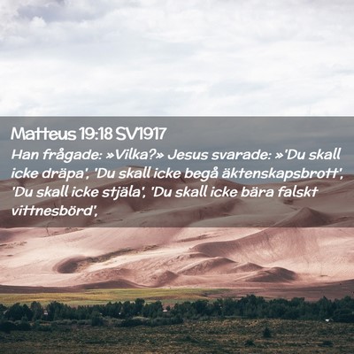 Picture 02 - Matteus 19:18 SV1917 - Han frågade: »Vilka?» Jesus svarade: »'Du - Bible Verse Picture