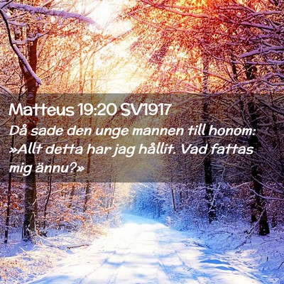 Picture 02 - Matteus 19:20 SV1917 - Då sade den unge mannen till honom: »Allt detta - Bible Verse Picture