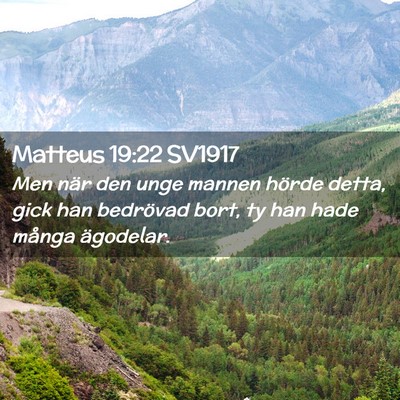 Picture 02 - Matteus 19:22 SV1917 - Men när den unge mannen hörde detta, gick han - Bible Verse Picture