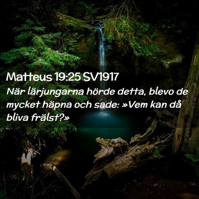 Picture 02 - Matteus 19:25 SV1917 - När lärjungarna hörde detta, blevo de mycket - Bible Verse Picture