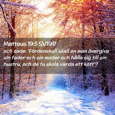 Picture 02 - Matteus 19:5 SV1917 - och sade: 'Fördenskull skall en man övergiva - Bible Verse Picture