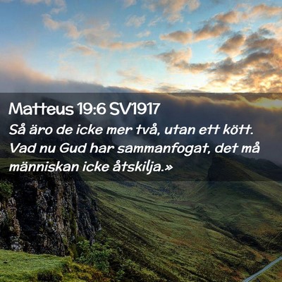 Picture 02 - Matteus 19:6 SV1917 - Så äro de icke mer två, utan ett kött. Vad nu - Bible Verse Picture