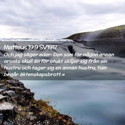 Picture 02 - Matteus 19:9 SV1917 - Och jag säger eder: Den som för någon annan - Bible Verse Picture