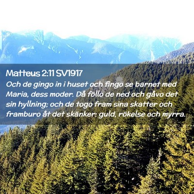 Picture 02 - Matteus 2:11 SV1917 - Och de gingo in i huset och fingo se barnet med - Bible Verse Picture