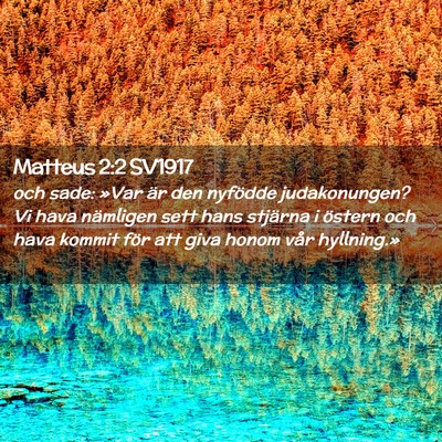 Picture 02 - Matteus 2:2 SV1917 - och sade: »Var är den nyfödde judakonungen? Vi - Bible Verse Picture