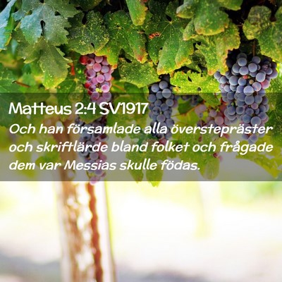 Picture 02 - Matteus 2:4 SV1917 - Och han församlade alla överstepräster och - Bible Verse Picture
