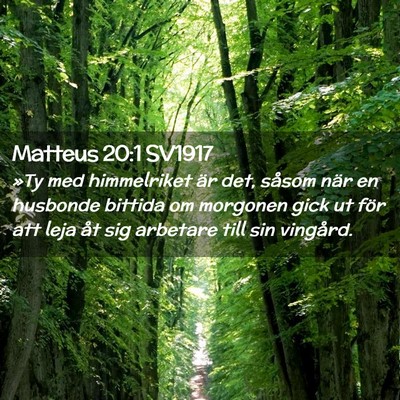 Picture 02 - Matteus 20:1 SV1917 - »Ty med himmelriket är det, såsom när en - Bible Verse Picture