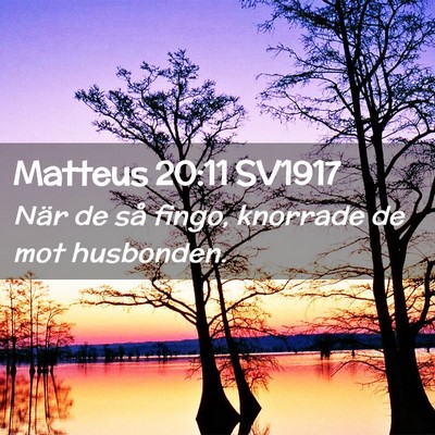 Picture 02 - Matteus 20:11 SV1917 - När de så fingo, knorrade de mot - Bible Verse Picture