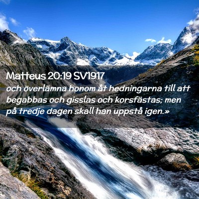 Picture 02 - Matteus 20:19 SV1917 - och överlämna honom åt hedningarna till att - Bible Verse Picture