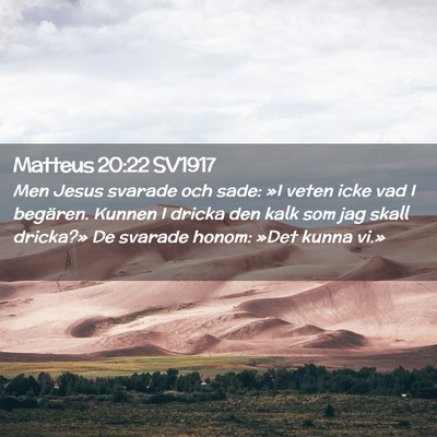 Picture 02 - Matteus 20:22 SV1917 - Men Jesus svarade och sade: »I veten icke vad I - Bible Verse Picture