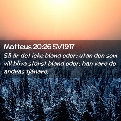 Picture 02 - Matteus 20:26 SV1917 - Så är det icke bland eder; utan den som vill - Bible Verse Picture