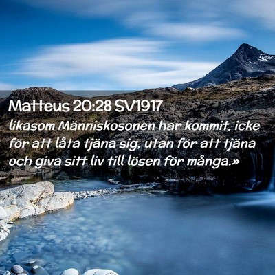 Picture 02 - Matteus 20:28 SV1917 - likasom Människosonen har kommit, icke för att - Bible Verse Picture