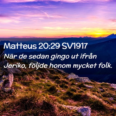 Picture 02 - Matteus 20:29 SV1917 - När de sedan gingo ut ifrån Jeriko, följde - Bible Verse Picture