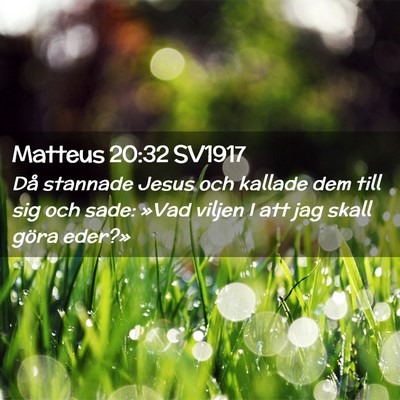 Picture 02 - Matteus 20:32 SV1917 - Då stannade Jesus och kallade dem till sig och - Bible Verse Picture