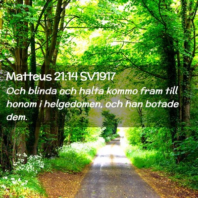 Picture 02 - Matteus 21:14 SV1917 - Och blinda och halta kommo fram till honom i - Bible Verse Picture