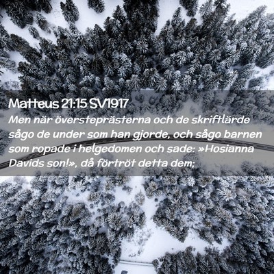Picture 02 - Matteus 21:15 SV1917 - Men när översteprästerna och de skriftlärde - Bible Verse Picture